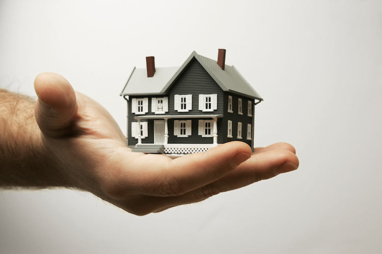 Is house asset or liability?